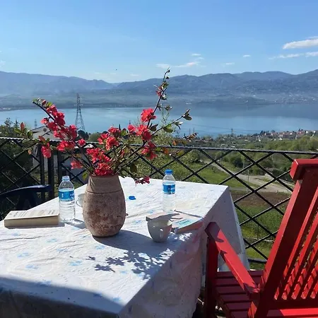 Retro Modern Rose -unique Sapanca View *