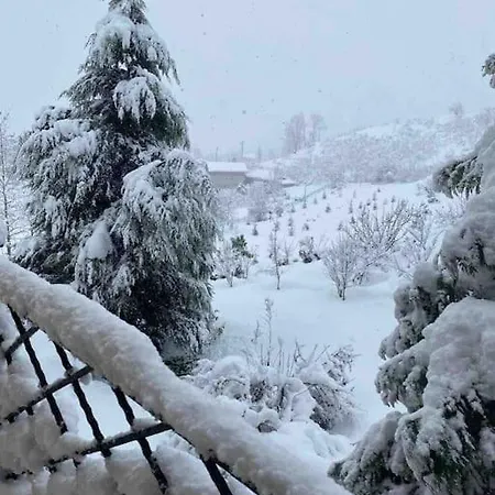 Retro Modern Rose -unique Sapanca View