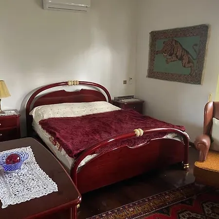 Retro Modern Rose -unique Sapanca View Villa Serdivan