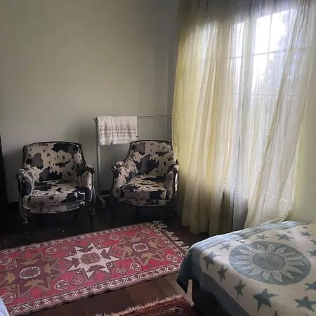 Retro Modern Rose -unique Sapanca View * Serdivan