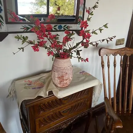 Retro Modern Rose -unique Sapanca View Villa