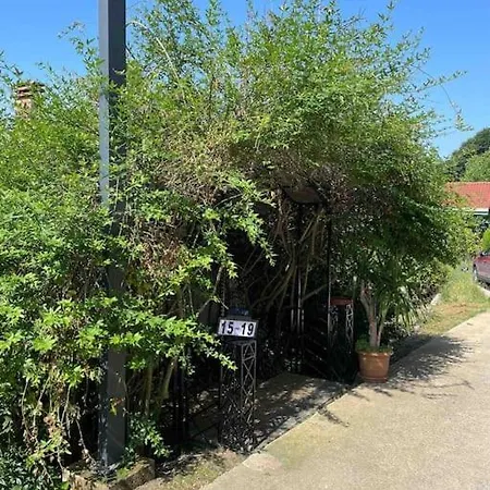 Retro Modern Rose -unique Sapanca View Villa Serdivan