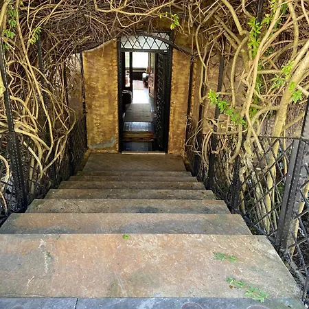 Villa Retro Modern Rose -unique Sapanca View *