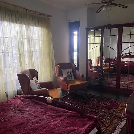 Retro Modern Rose -unique Sapanca View Villa Serdivan